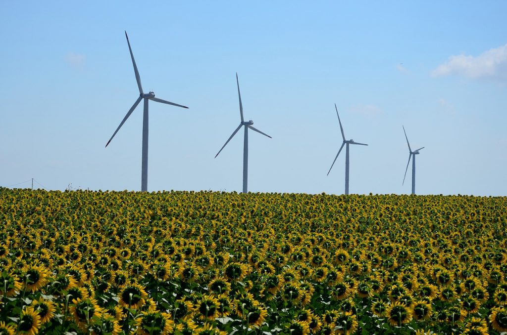 innovación ambiental